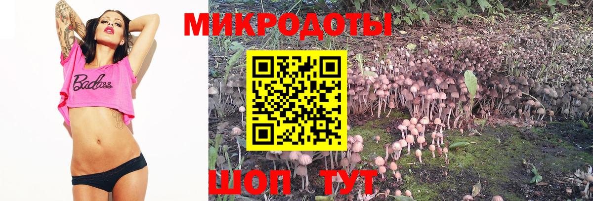 Ангарск  Галлюциногенные грибы мухоморы  Вход с VPN 